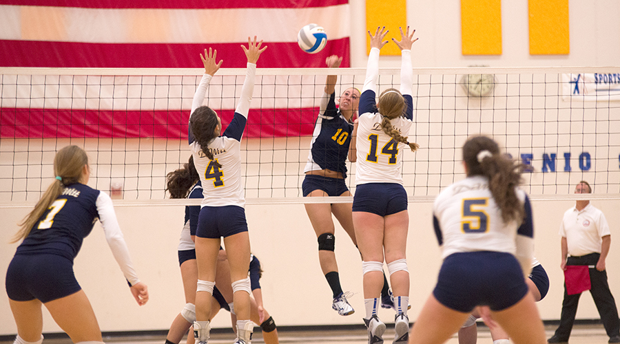 Michigan Sports Photographer Team & Individual Sports Photography